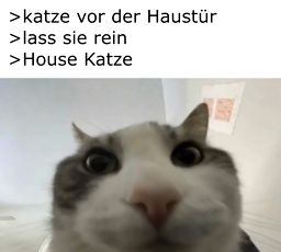 a7Yr thumbnail
