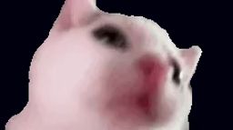 angH thumbnail