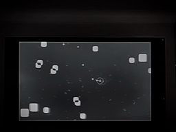 bIud thumbnail