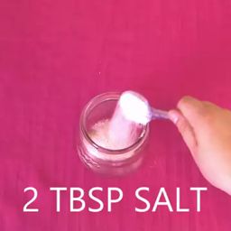 szP1 thumbnail